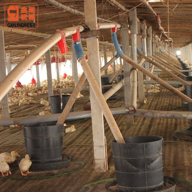 Manual Plastic Duck Feeder For Poultry Farm