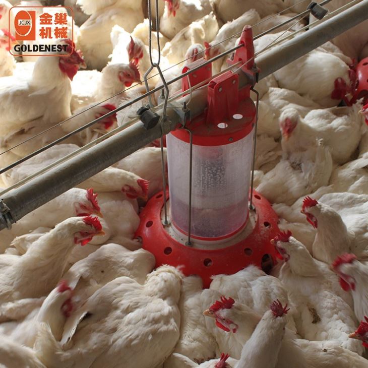 Poultry Farm Equipment Metering Pan Feeding System For Breeder